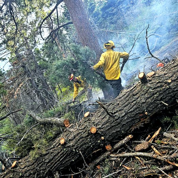 La Veta Emergency Response 